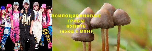 спиды Армянск